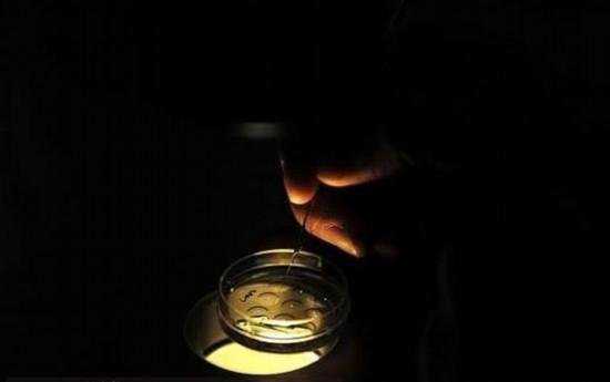 自己的胚胎想找人代怀,揭秘试管婴儿取卵抽精全过程
