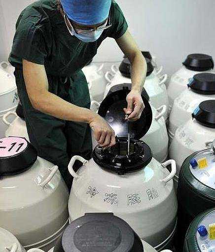自己的胚胎想找人代怀,揭秘试管婴儿取卵抽精全过程