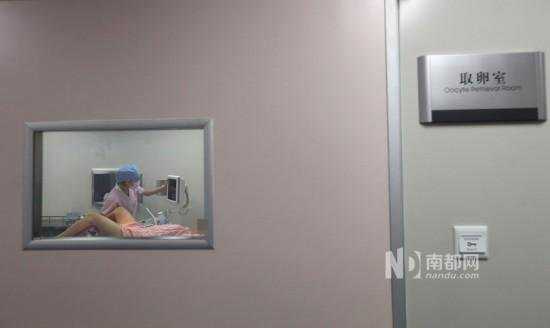 自己的胚胎想找人代怀,揭秘试管婴儿取卵抽精全过程