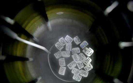 自己的胚胎想找人代怀,揭秘试管婴儿取卵抽精全过程